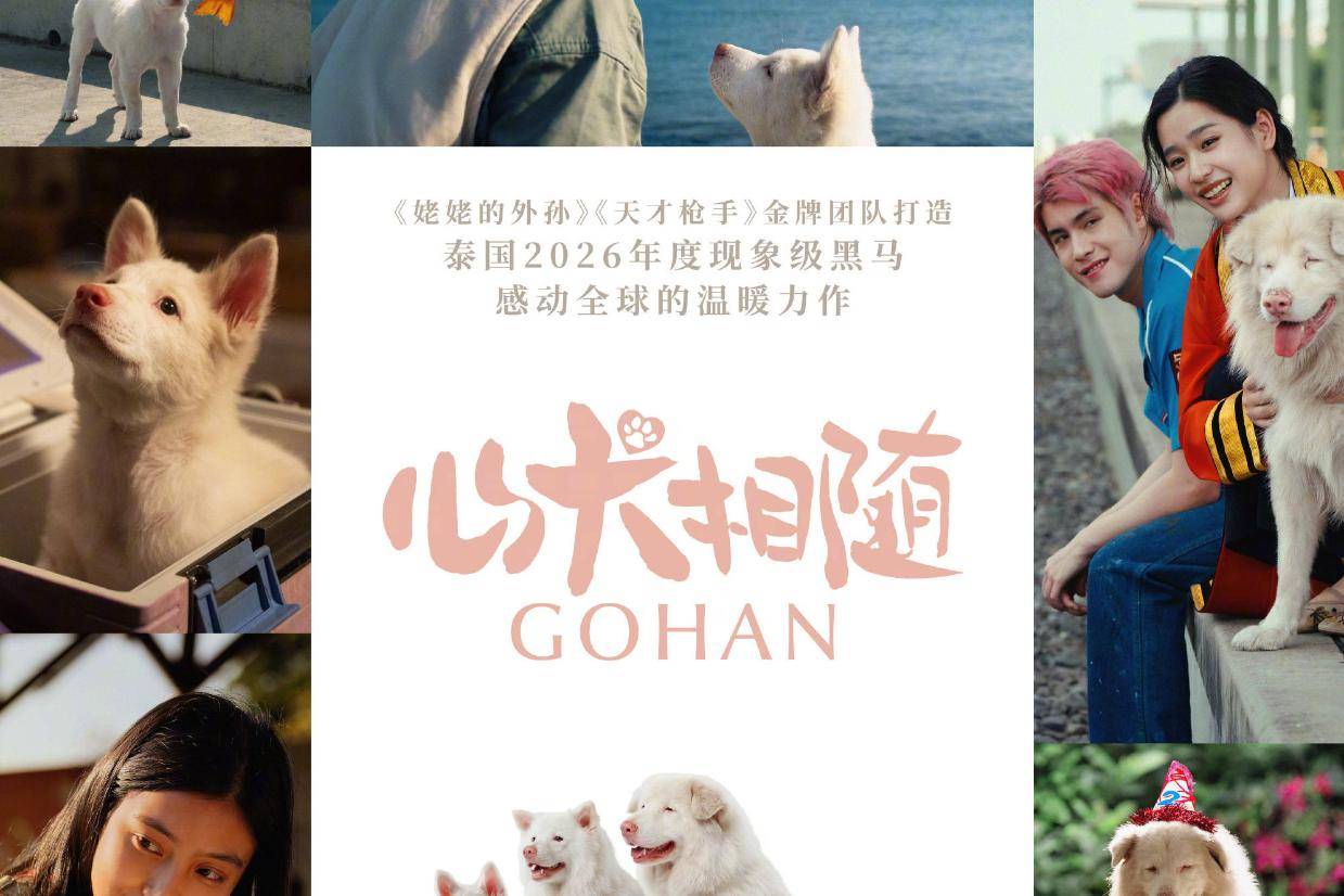 泰国现象级票房黑马《心犬相随》内地定档6月26日 《天才枪手》《姥姥的外孙》团队打造封面图