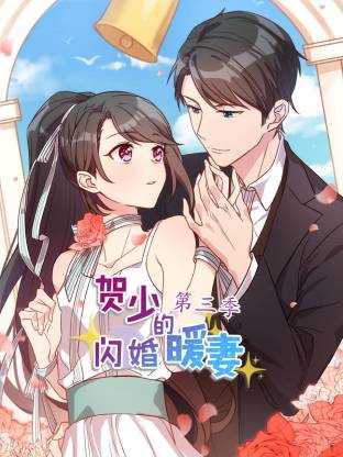 贺少的闪婚暖妻第三季封面图