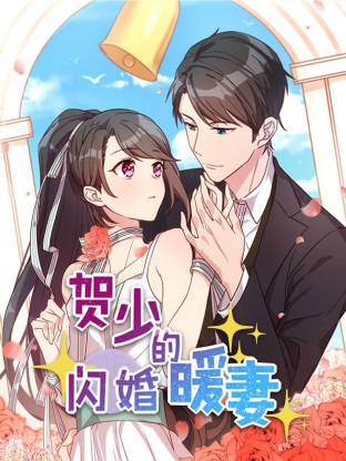 贺少的闪婚暖妻封面图