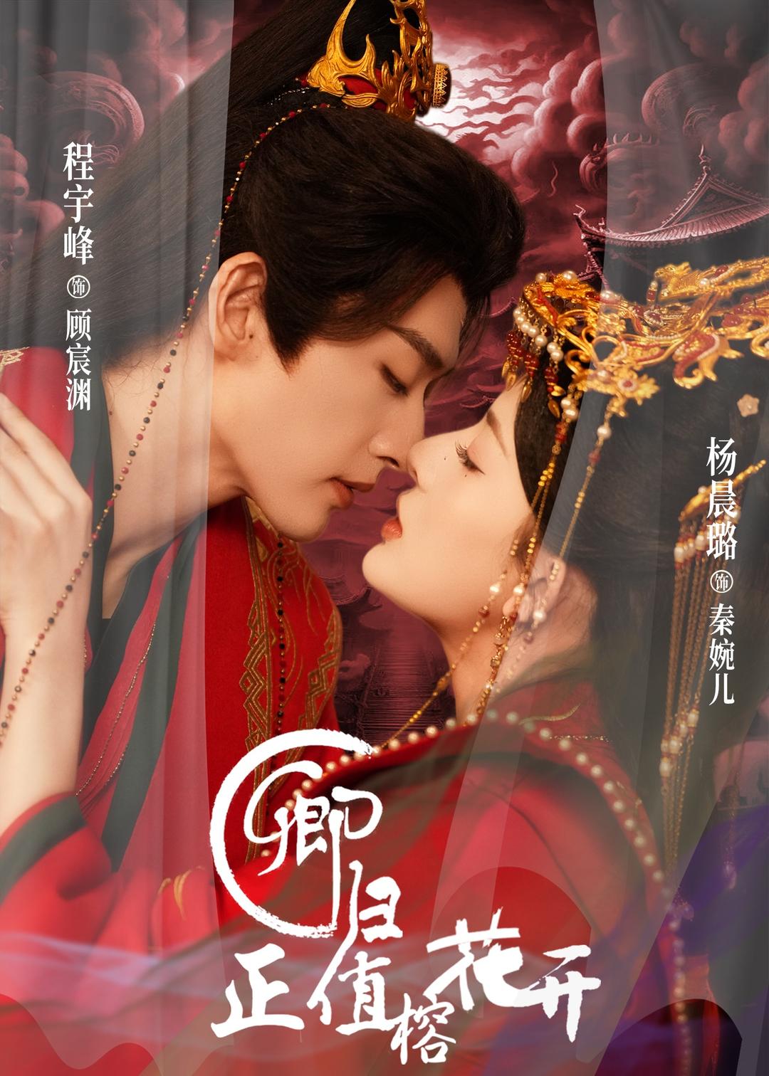 卿归正值榕花开封面图