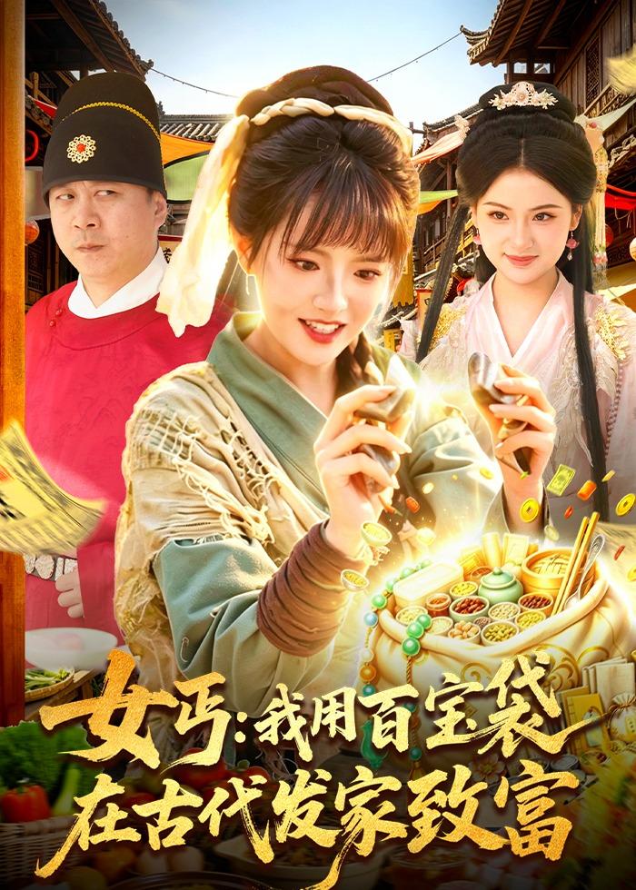 女丐：我用百宝袋在古代发家致富封面图