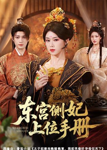 东宫侧妃上位手册封面图
