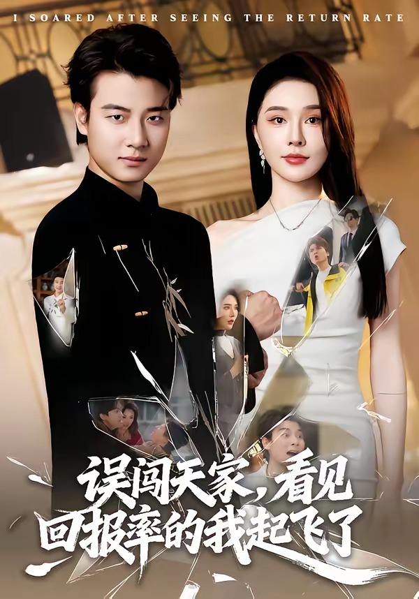 误闯天家看见回报率的我起飞了封面图