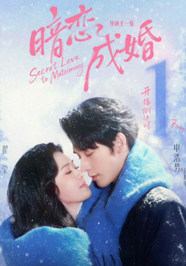 暗恋成婚封面图