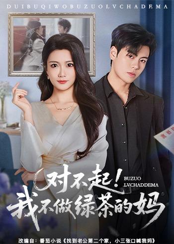 对不起，我不做绿茶的妈封面图