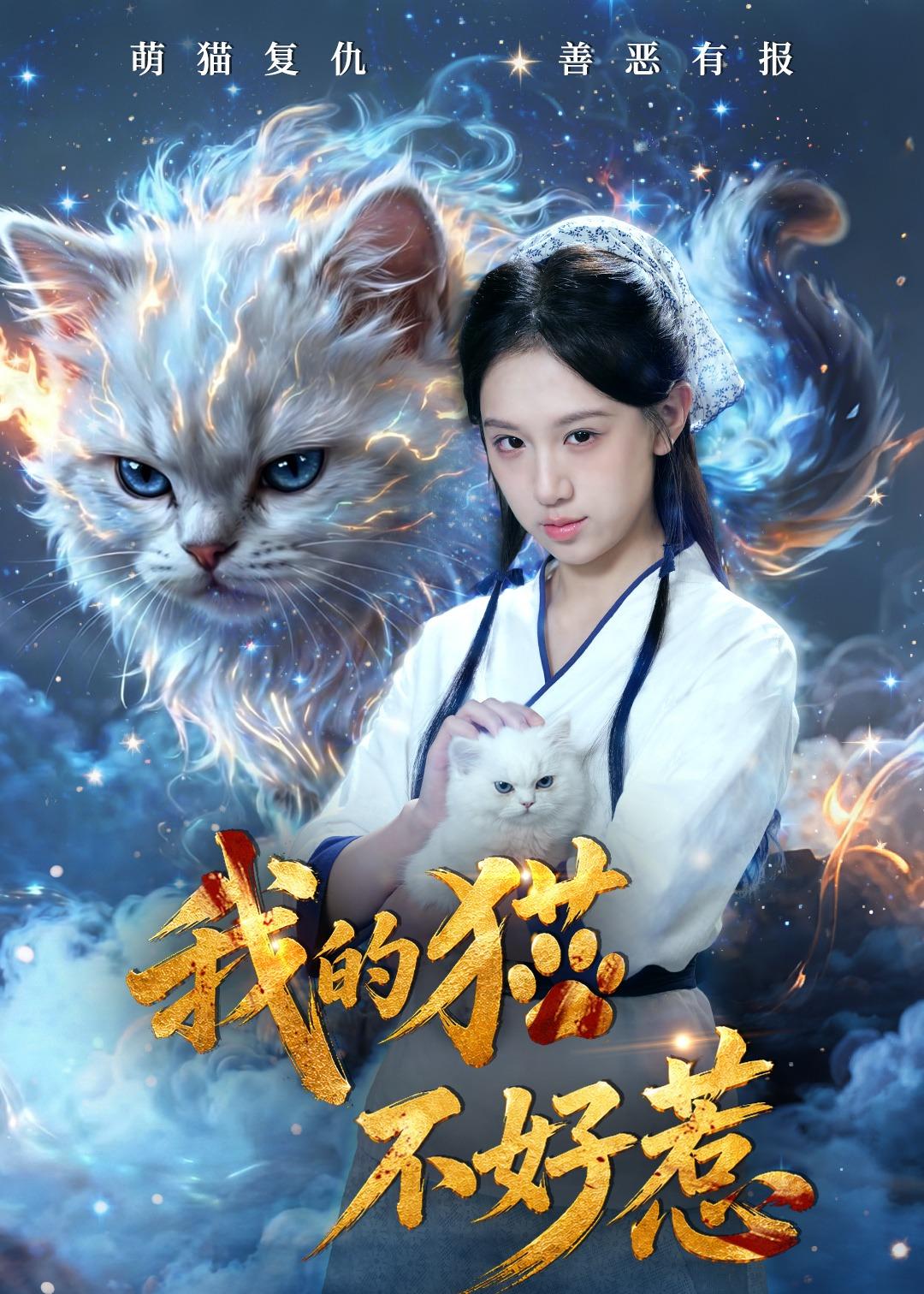 我的猫不好惹封面图