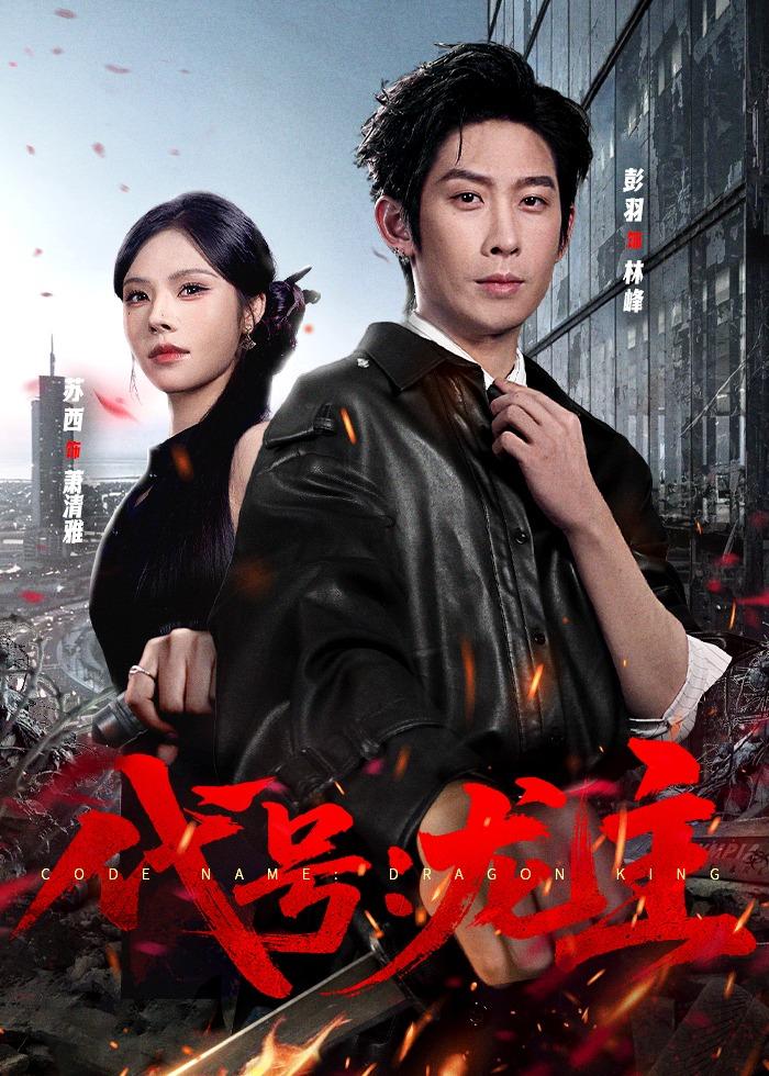 代号：龙主封面图