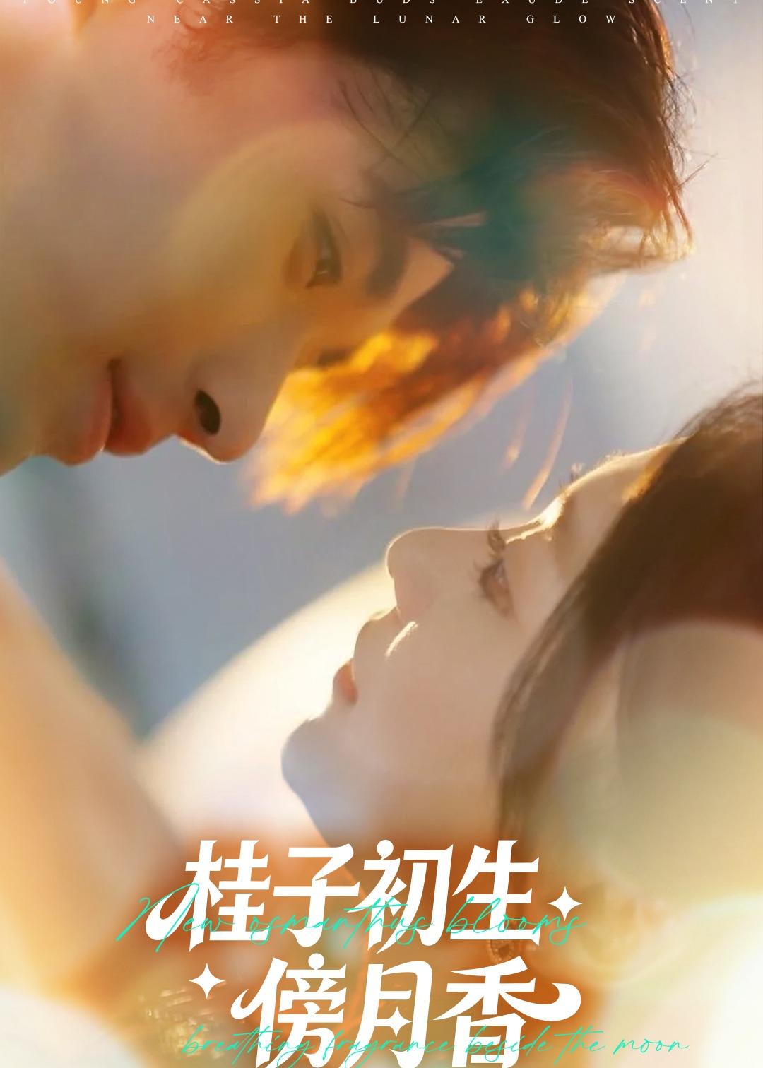 桂子初生傍月香封面图