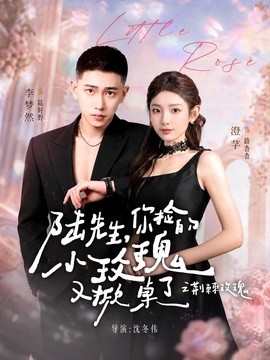 陆先生，你捡的小玫瑰又掀桌了之荆棘玫瑰封面图