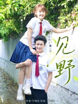 见野封面图