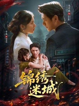 锦绣迷城封面图