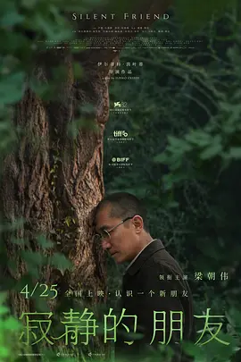 寂静的朋友封面图