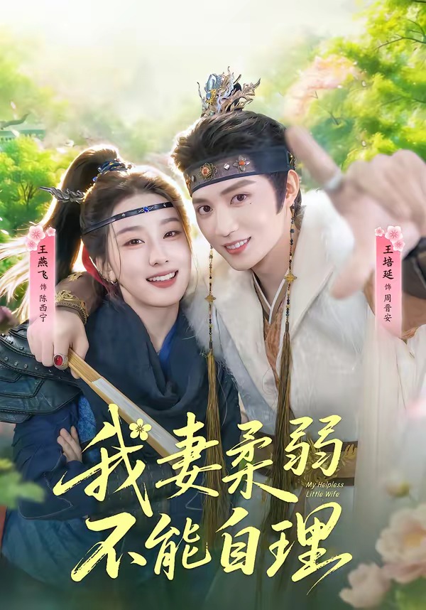 我妻柔弱不能自理封面图