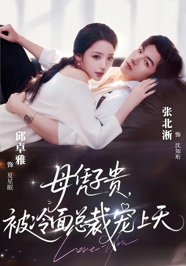 母凭子贵，被冷面总裁宠上天封面图