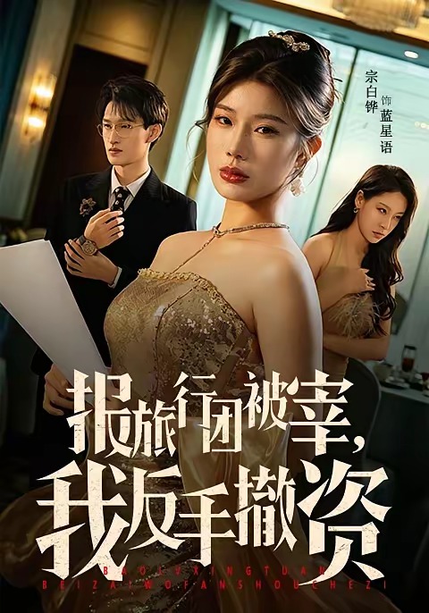 报旅行团被宰，我反手撤资封面图