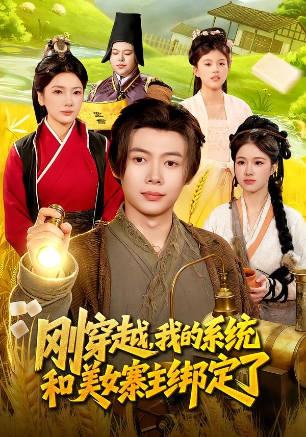 刚穿越，我的系统和美女寨主绑定了封面图