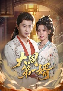 大周第一婿封面图