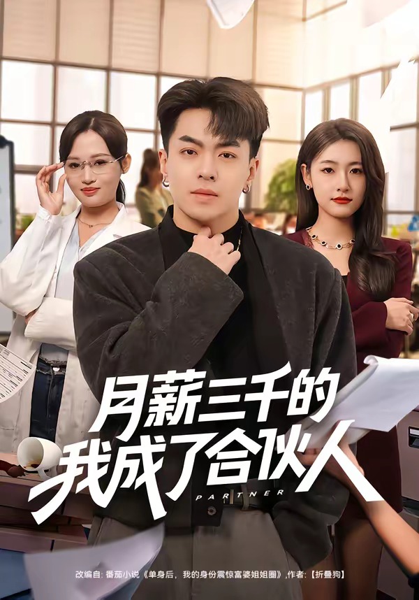 月薪三千的我成了合伙人封面图