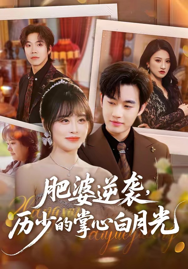 肥婆逆袭，历少的掌心白月光封面图