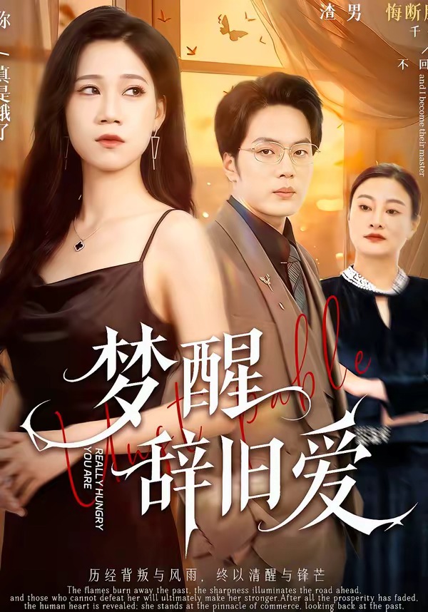 梦醒辞旧爱封面图