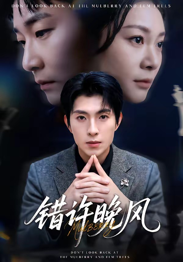 错许晚风封面图