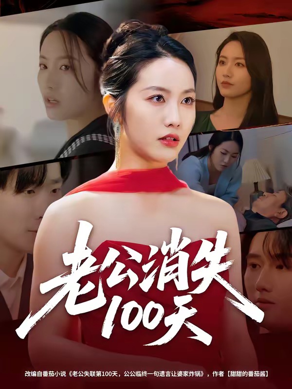 老公消失100天封面图