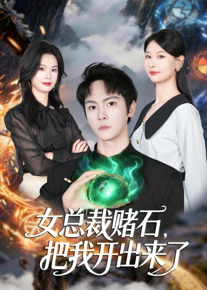 女总裁赌石，把我开出来了封面图