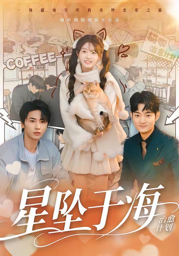 星坠于海封面图