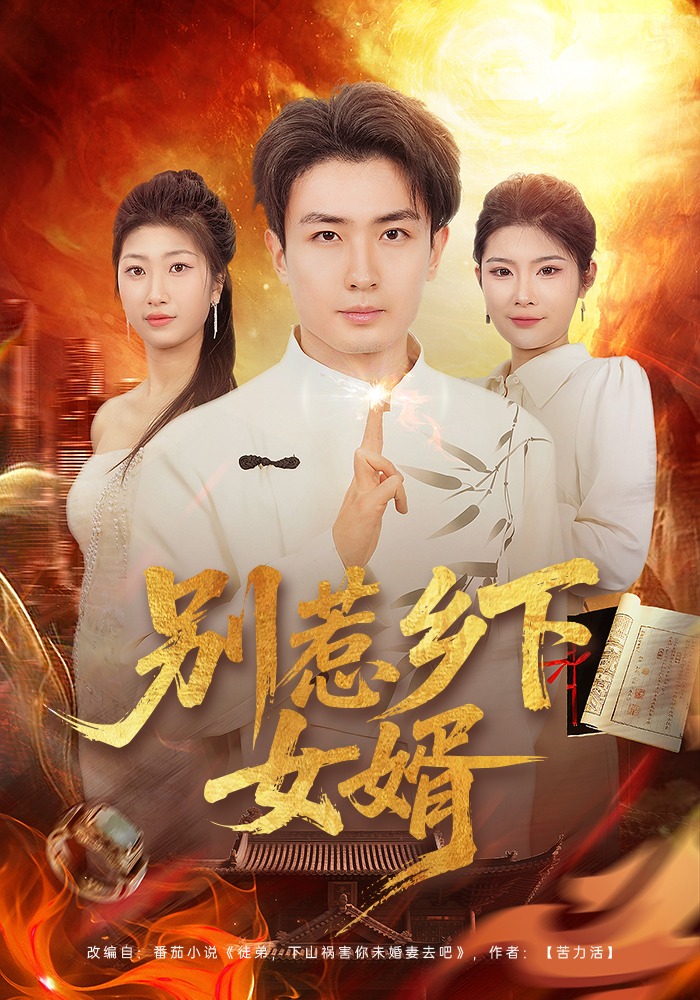 别惹乡下女婿封面图