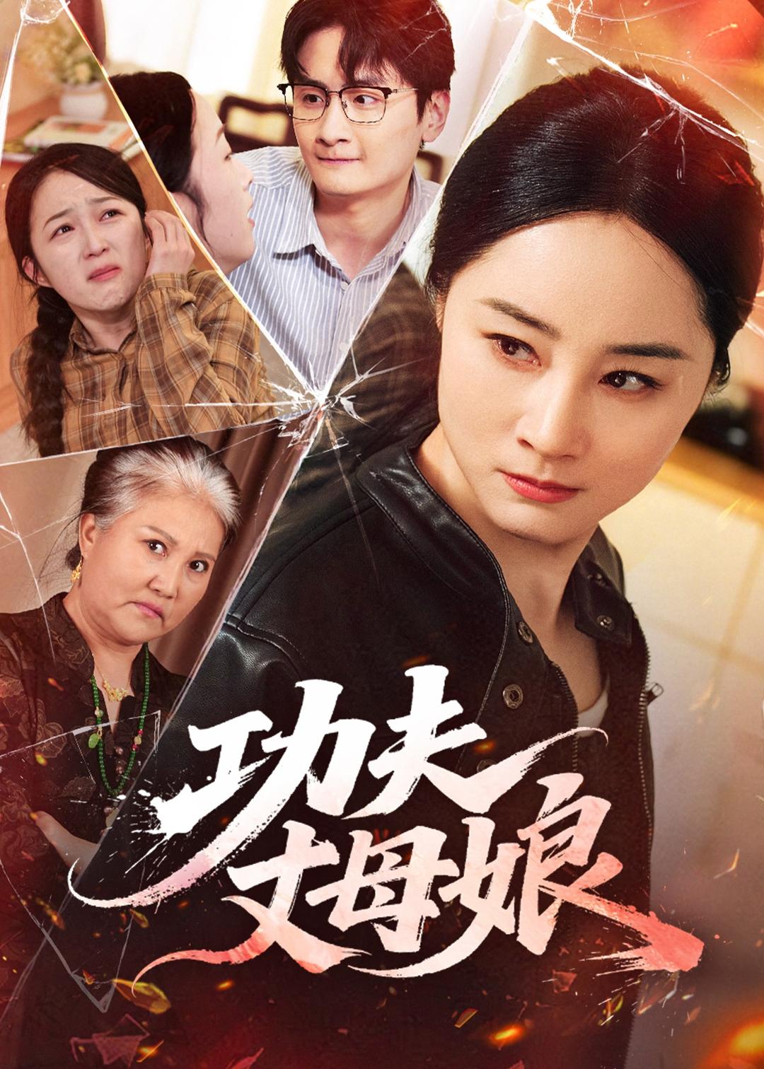 功夫丈母娘封面图