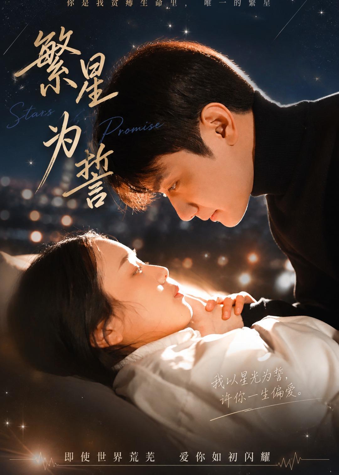 繁星为誓封面图
