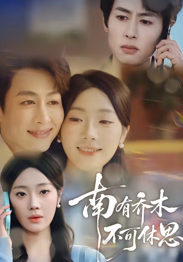 南有乔木，不可休思封面图