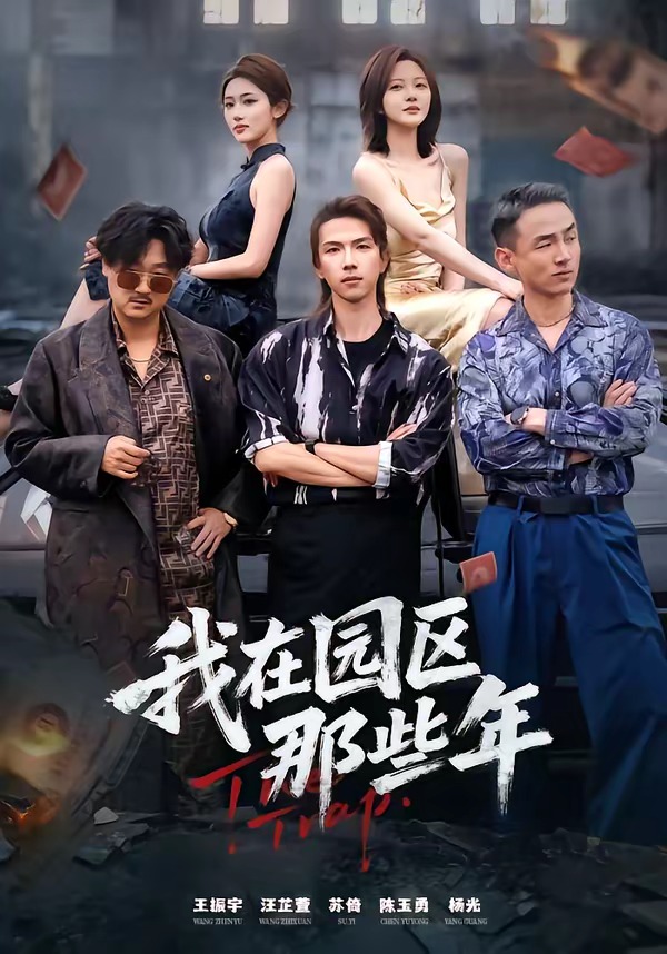 我在园区那些年封面图