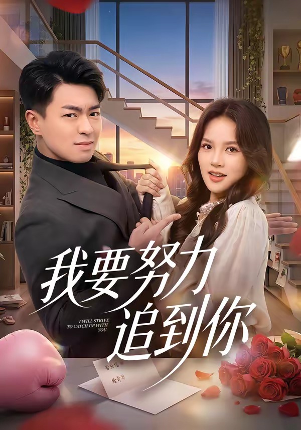 我要努力追到你封面图