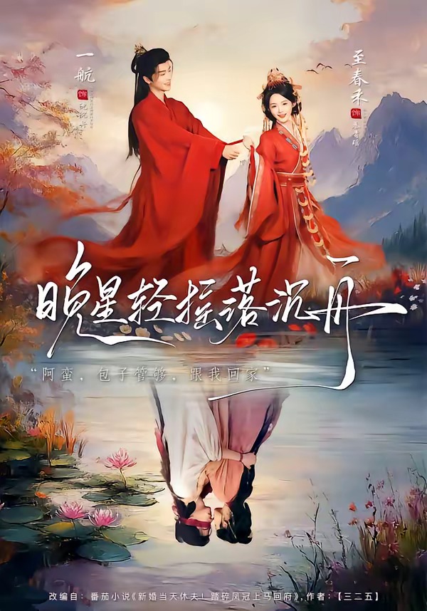 晚星轻摇落沉舟封面图