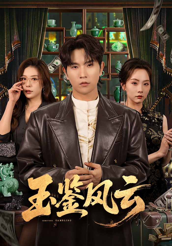 玉鉴风云封面图