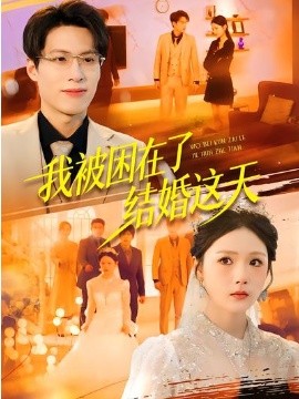 我被困在了结婚这天封面图