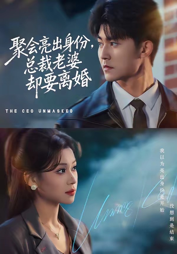 聚会亮出身份，总裁老婆却要离婚封面图