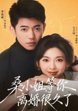 桑小姐，等你离婚很久了封面图
