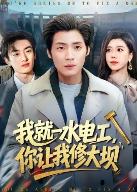 我就一水电工，你让我修大坝封面图