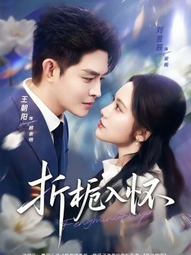 折栀入怀封面图