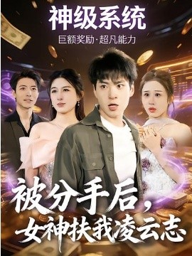 被分手后，女神扶我凌云志封面图