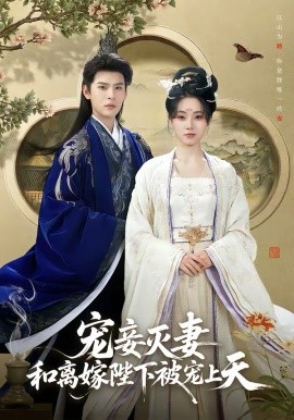 宠妾灭妻，和离嫁陛下被宠上天封面图