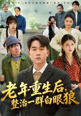 老年重生后，整治一群白眼狼封面图