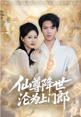 仙尊降世沦为上门郎封面图