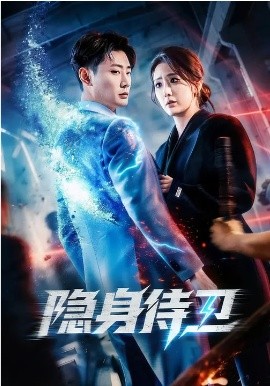隐身侍卫封面图