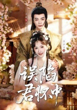 误陷君怀中封面图