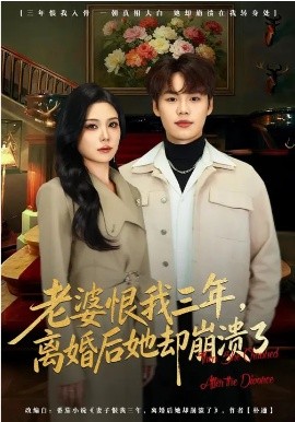 老婆恨我三年，离婚后她却崩溃了封面图