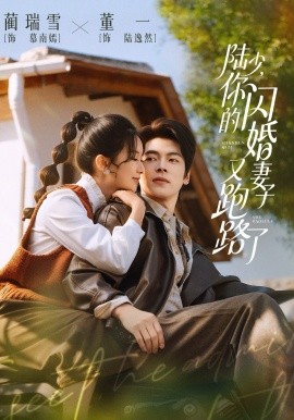 陆少，你的闪婚妻子又跑路了封面图