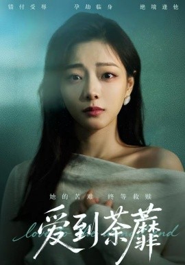 爱到荼蘼封面图